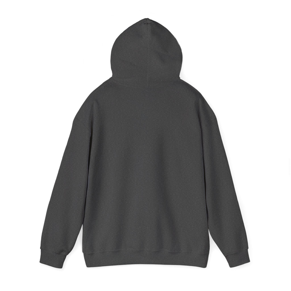 Sweat à capuche unisexe