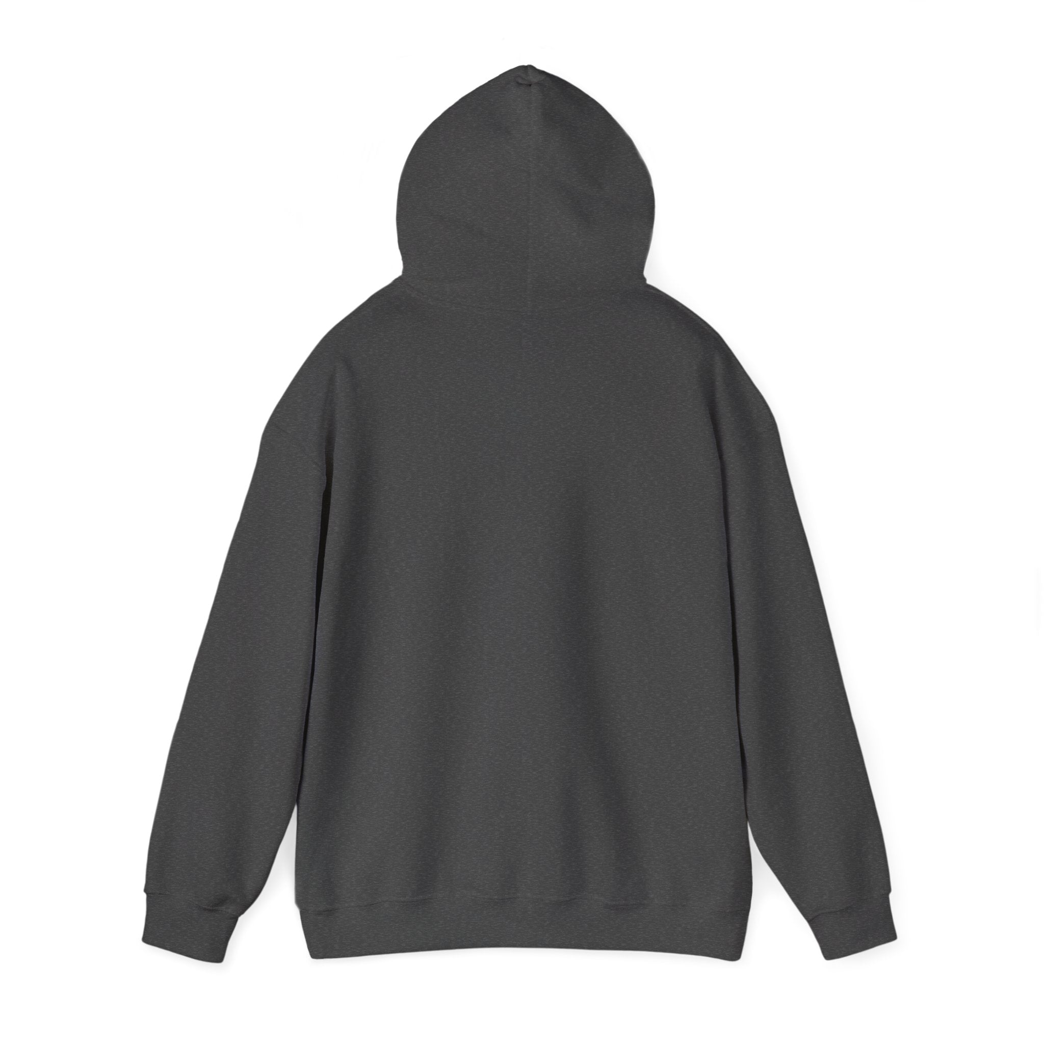 Sweat à capuche unisexe