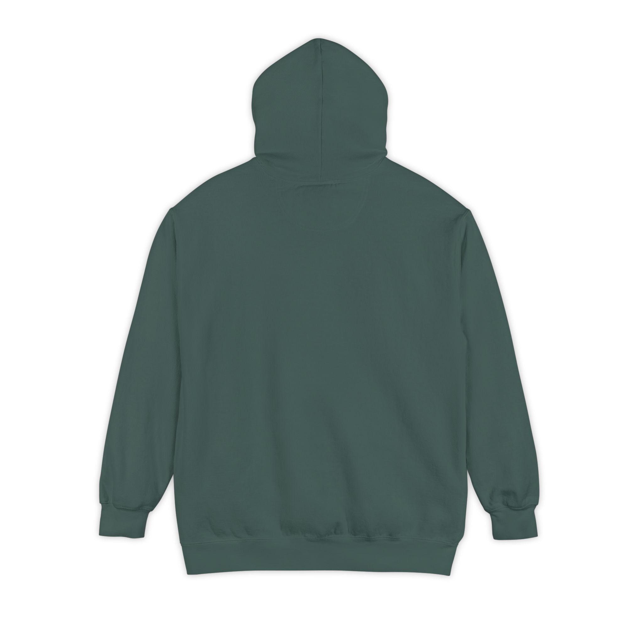 Sweat à capuche unisexe Surf Art