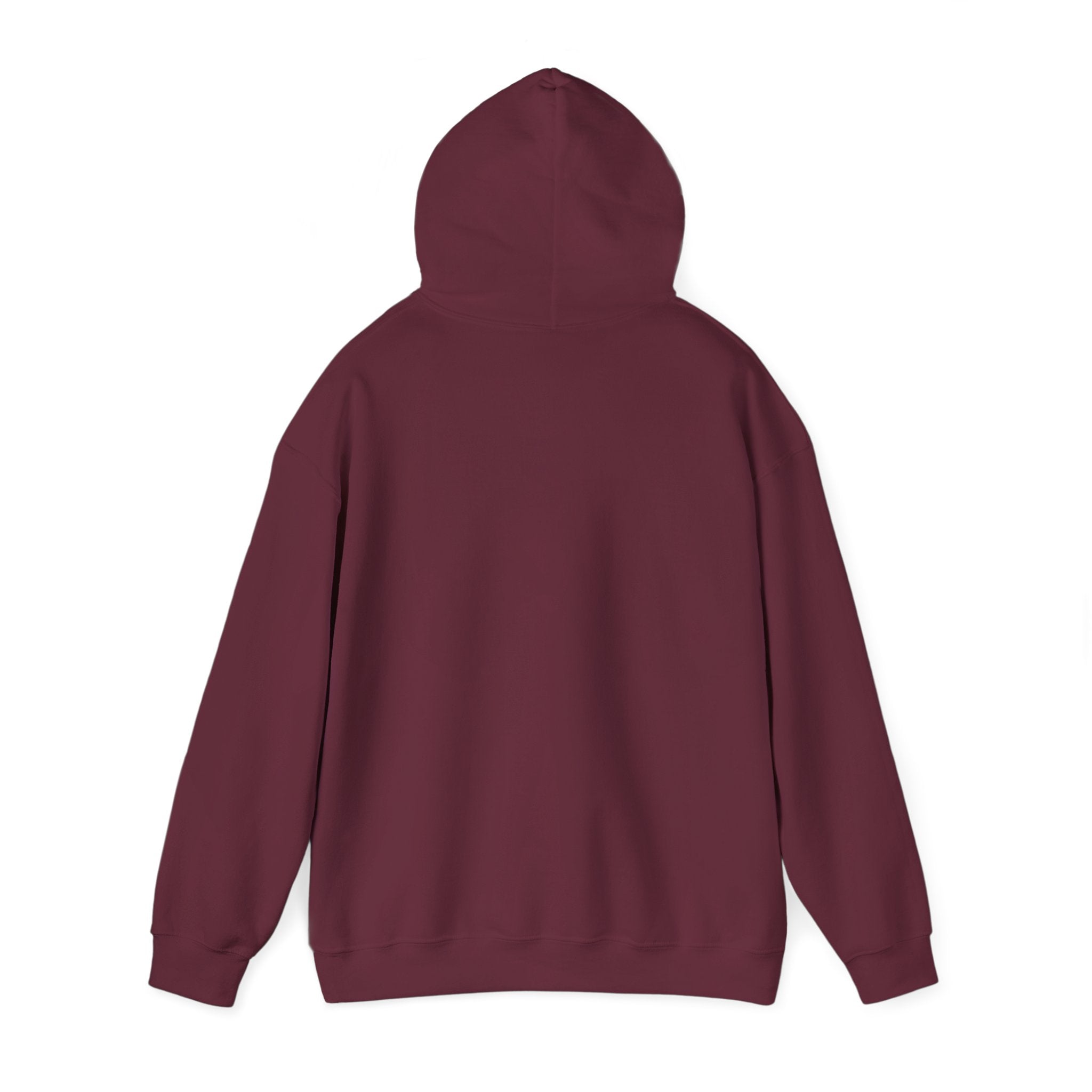 Sweat à capuche unisexe