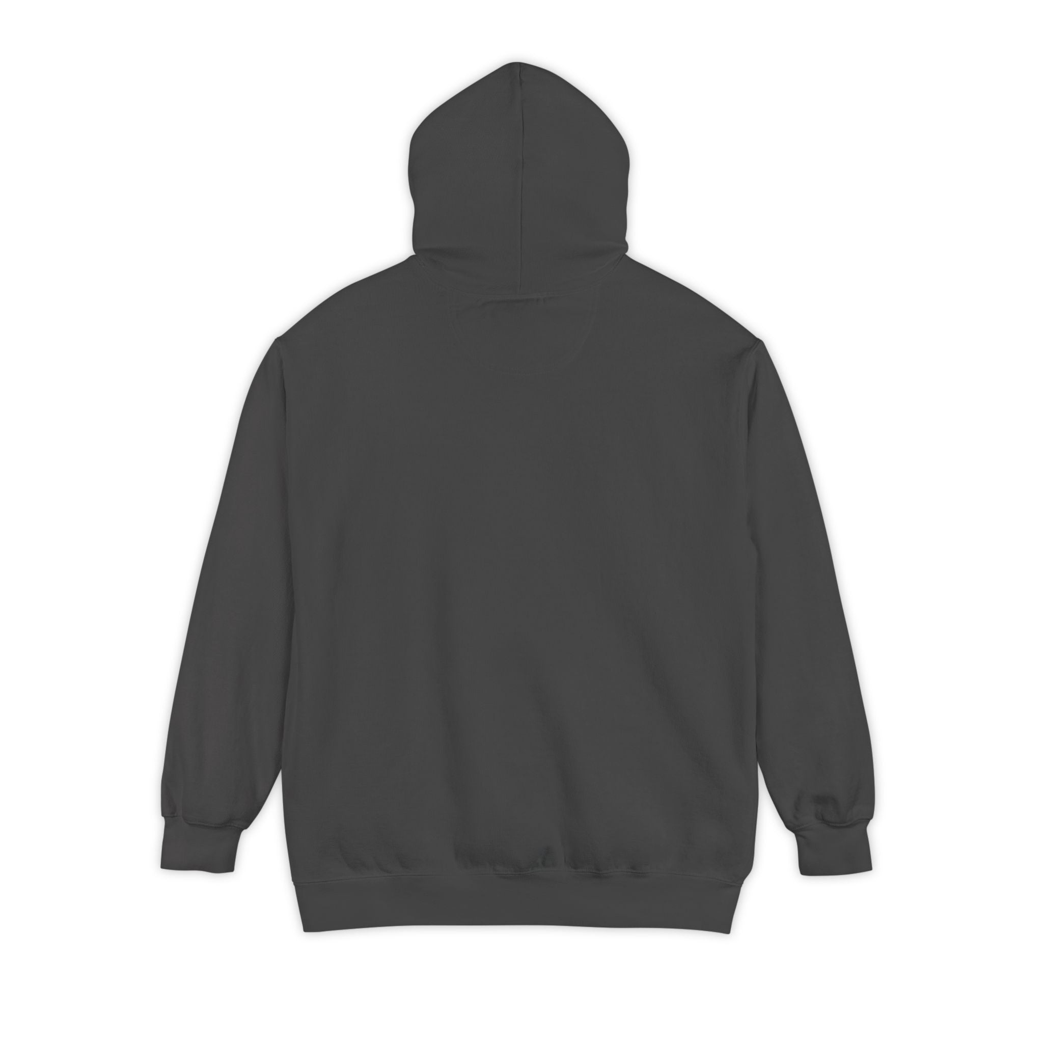 Sweat à capuche unisexe Surf Art